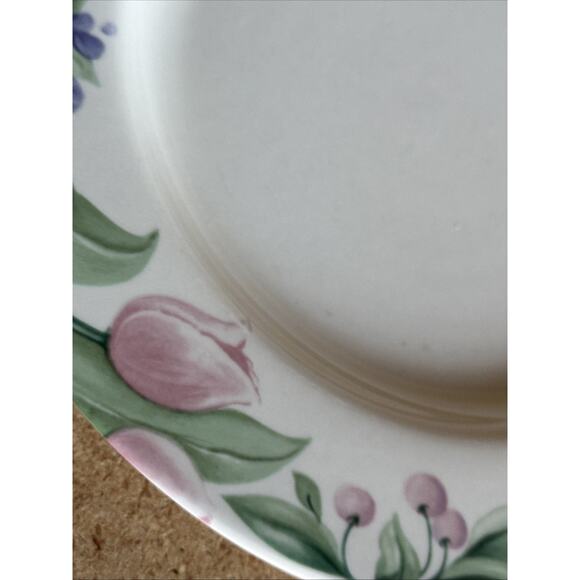 Pfaltzgraff Garden Party 10 1/2” Dinner Plate Set Of 7 Made In The USA - Picture 5 of 6